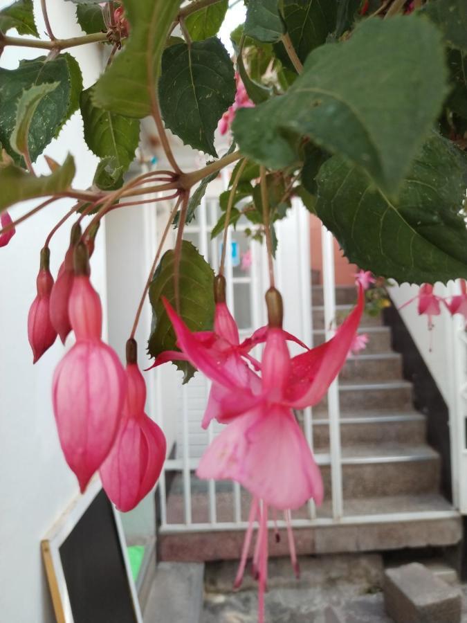 Cusco Vista Guest House Экстерьер фото